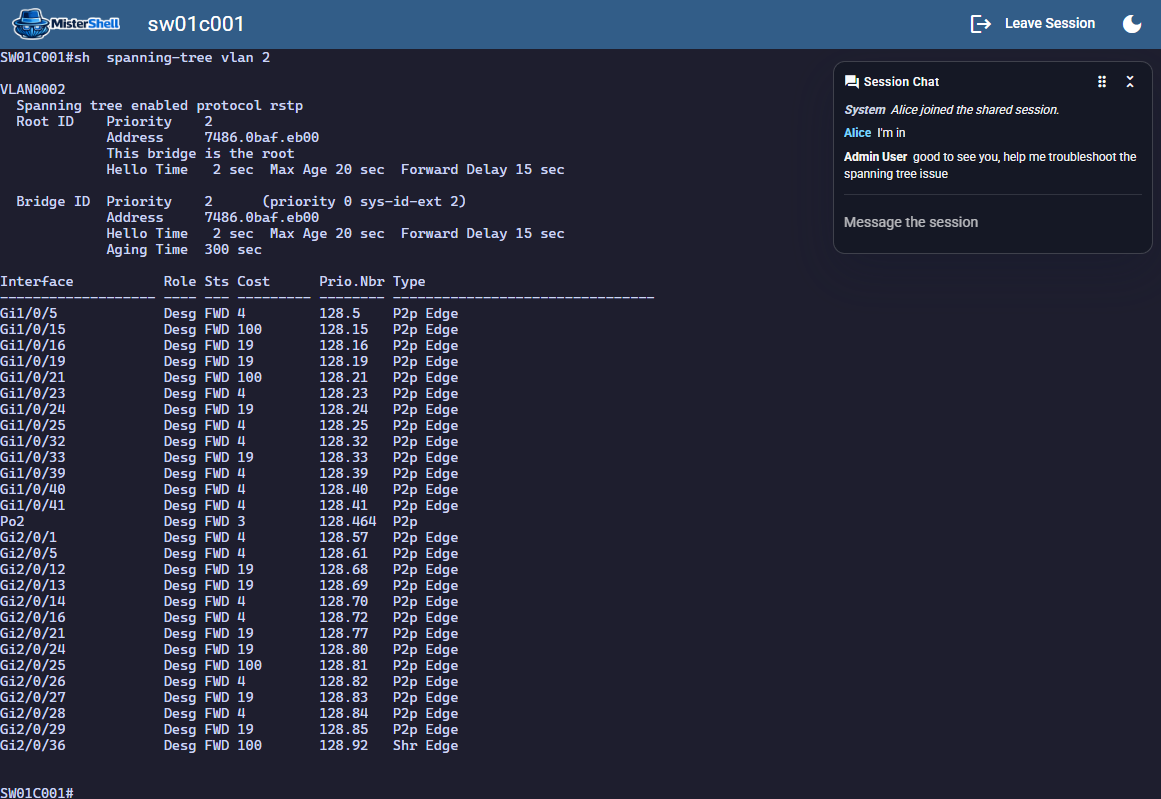 External guest view of a shared session with minimal UI and in-session chat
